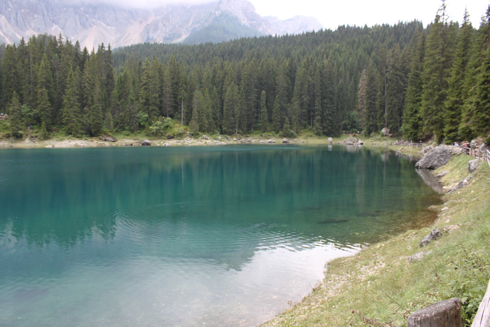 Lago di Carezza (Karersee) 8