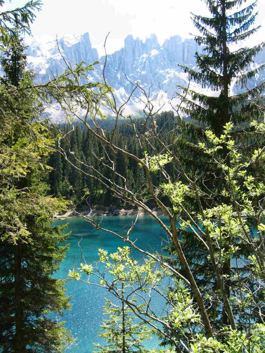 Lago di Carezza - Südtirol/Italien