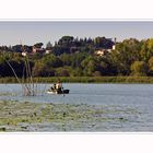 Lago di Chiusi