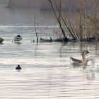 lago di chiusi