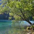 Lago di Fusine