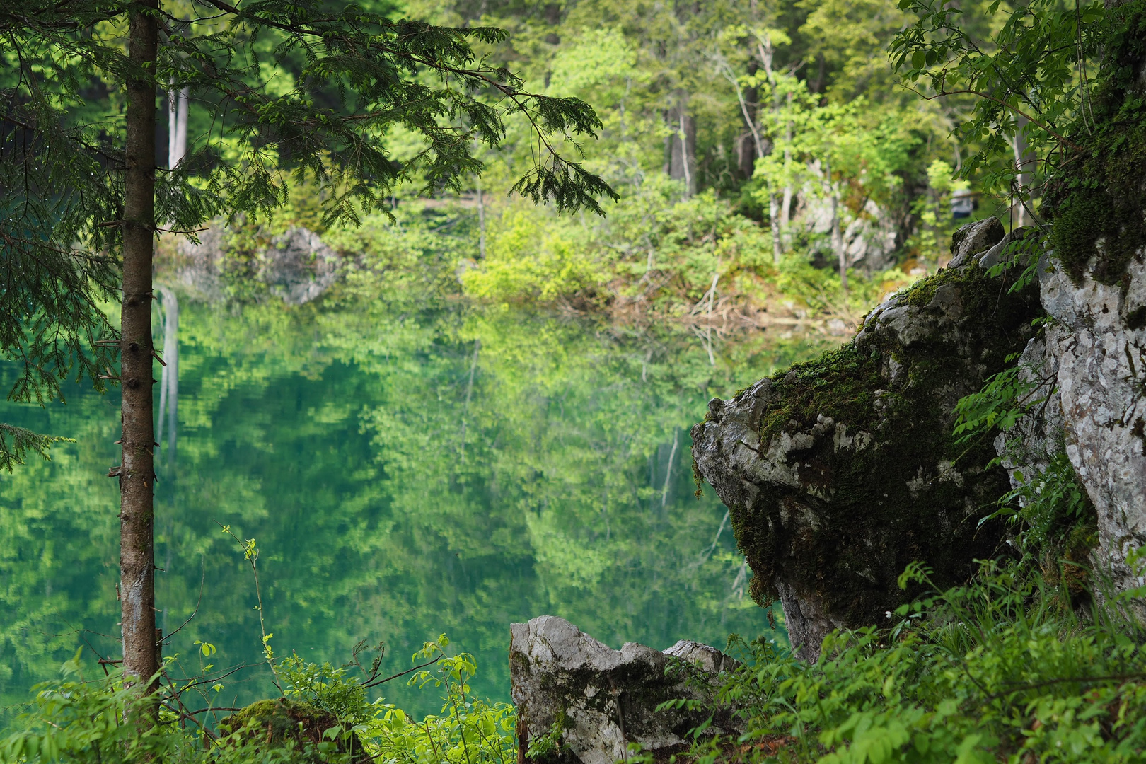 Lago di Fusine