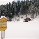 Lago di Fusine in inverno