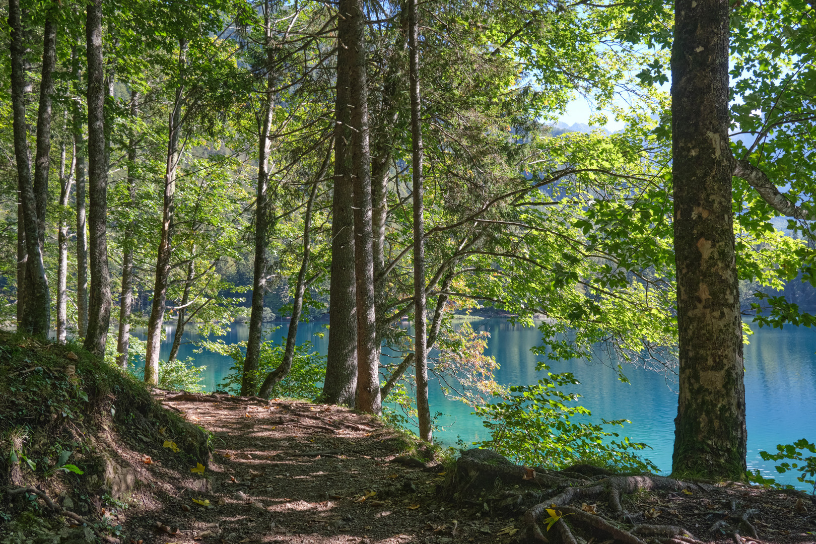 Lago di Fusine03