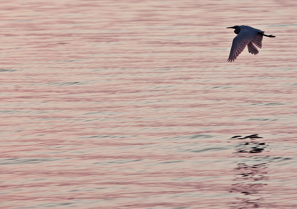 LAGO DI GARDA 1 / THE GARDA LAKE 1