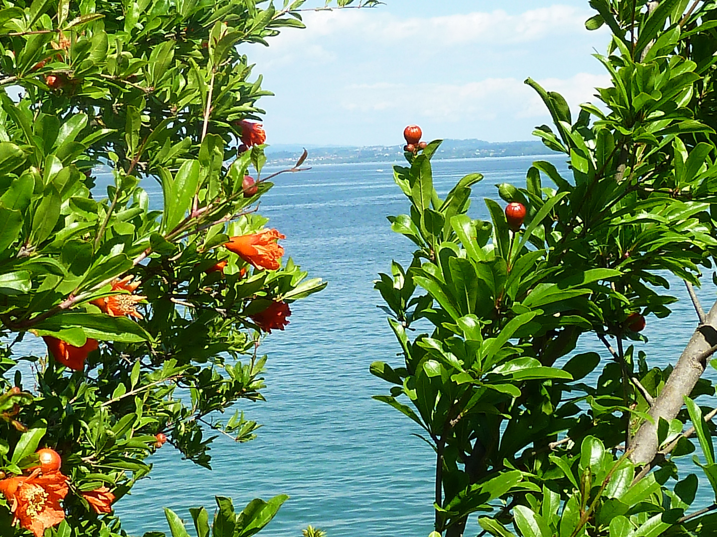 Lago di Garda