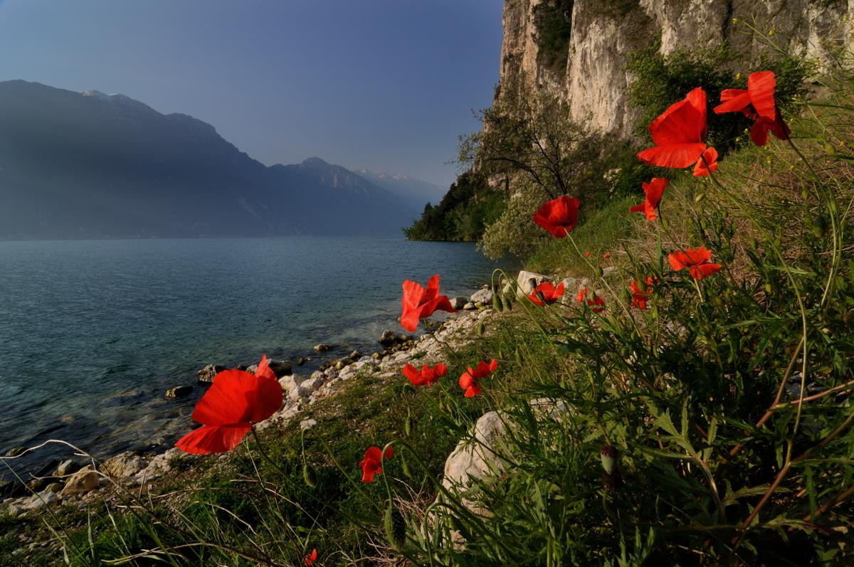 Lago Di Garda