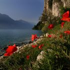 Lago Di Garda