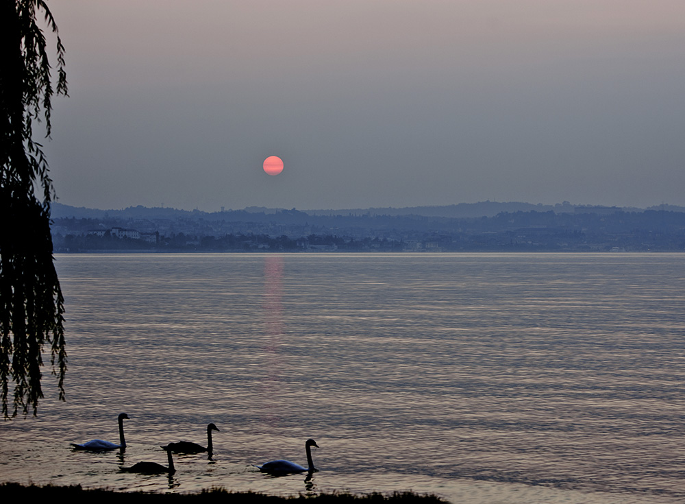 LAGO DI GARDA 3 / THE GARDA LAKE 3