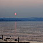 LAGO DI GARDA 3 / THE GARDA LAKE 3