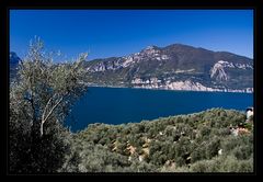 ~ lago di garda ~