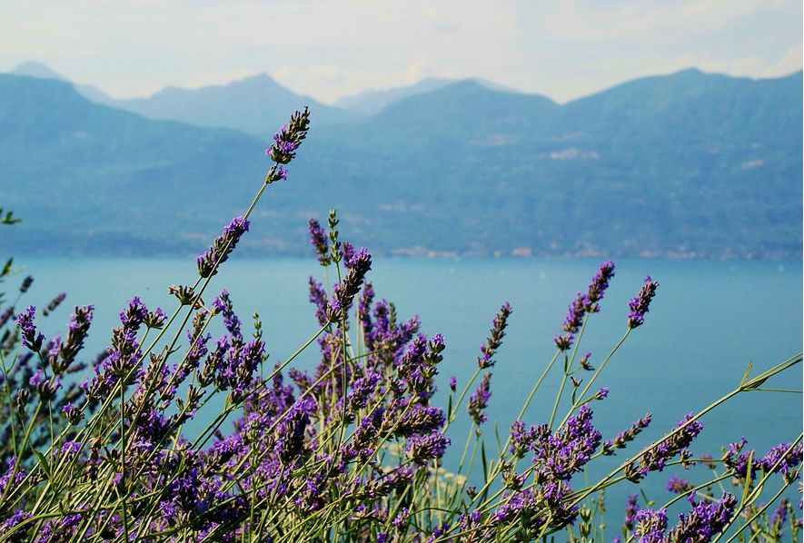 Lago di Garda