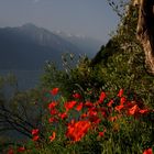 Lago Di Garda