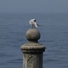 lago di garda