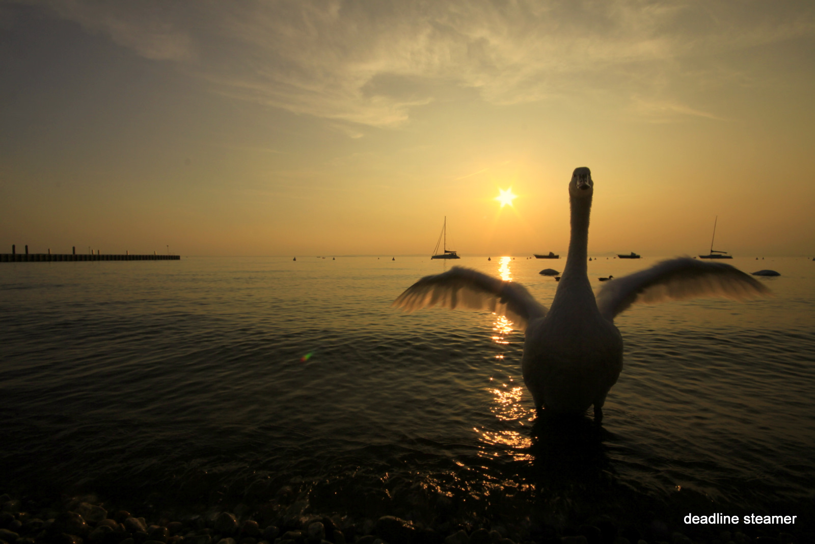 lago di garda