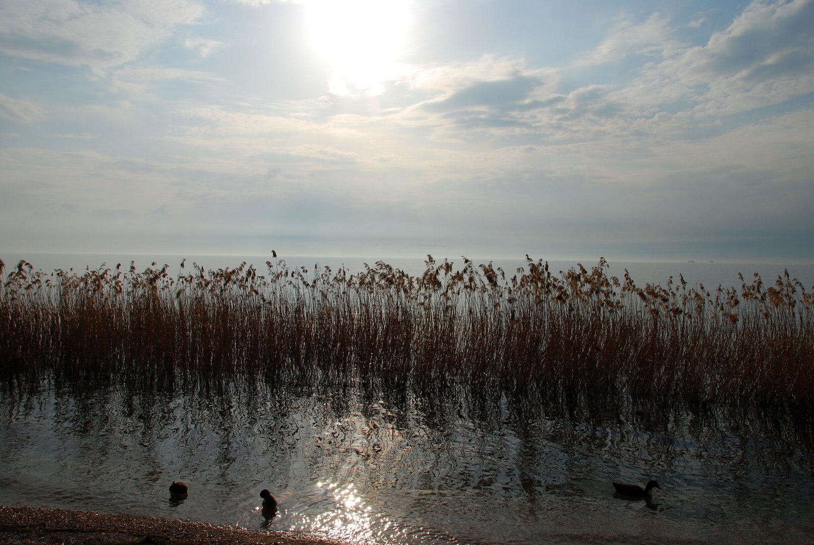 Lago di Garda