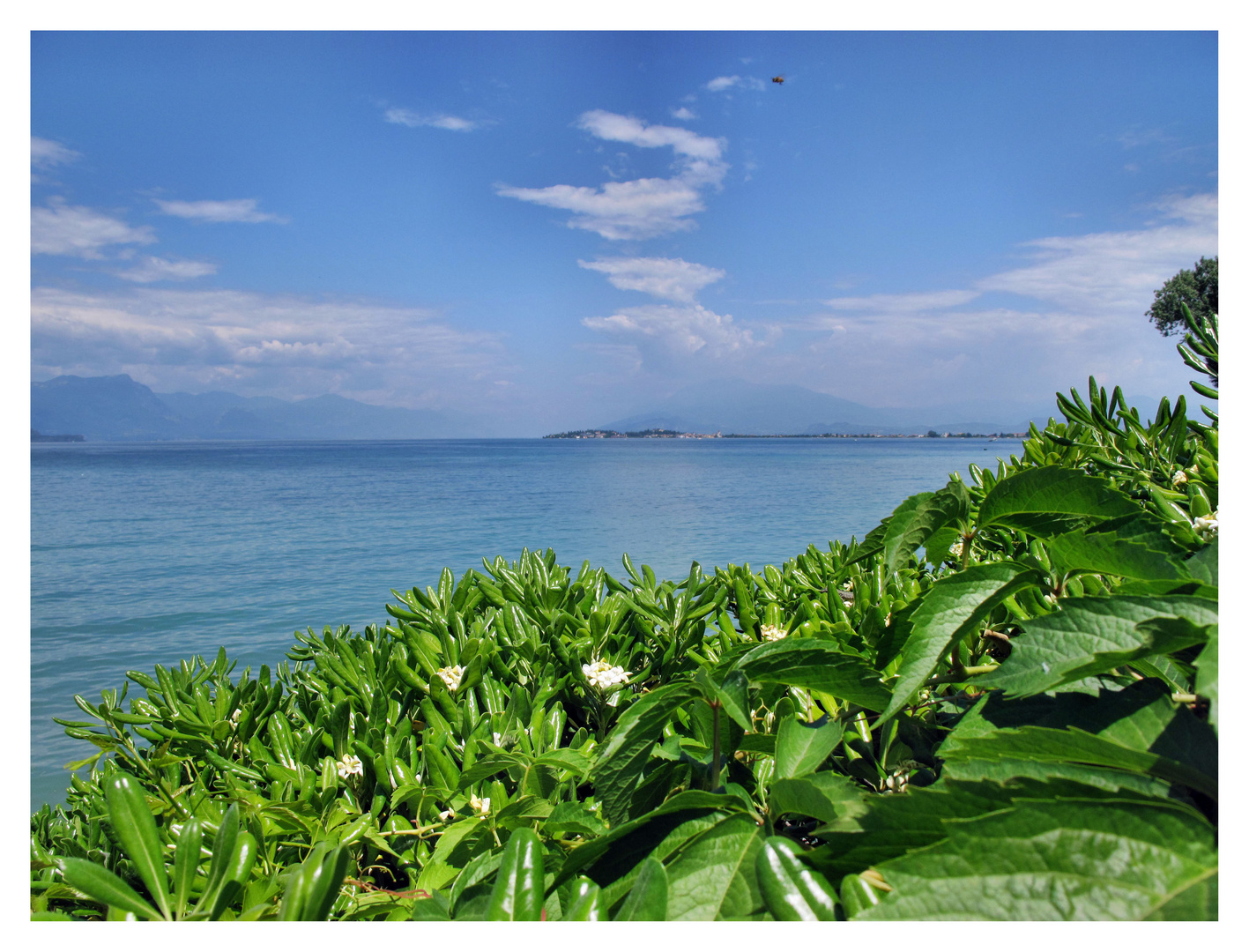 Lago di Garda