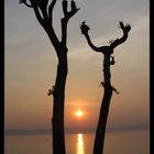 Lago di Garda in spring