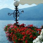 LAGO DI GARDA-TORRI DEL BENACO