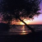 Lago di garda - Tramonto