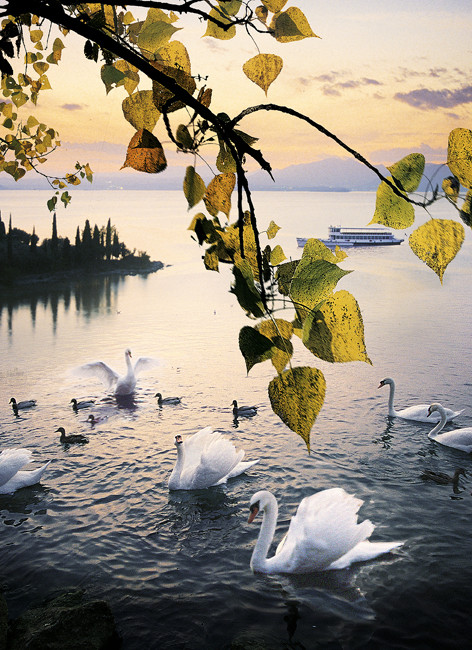 LAGO DI GARDA,PUNTA S. VIGILIO