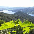 Lago di Liscia (Sardinien)