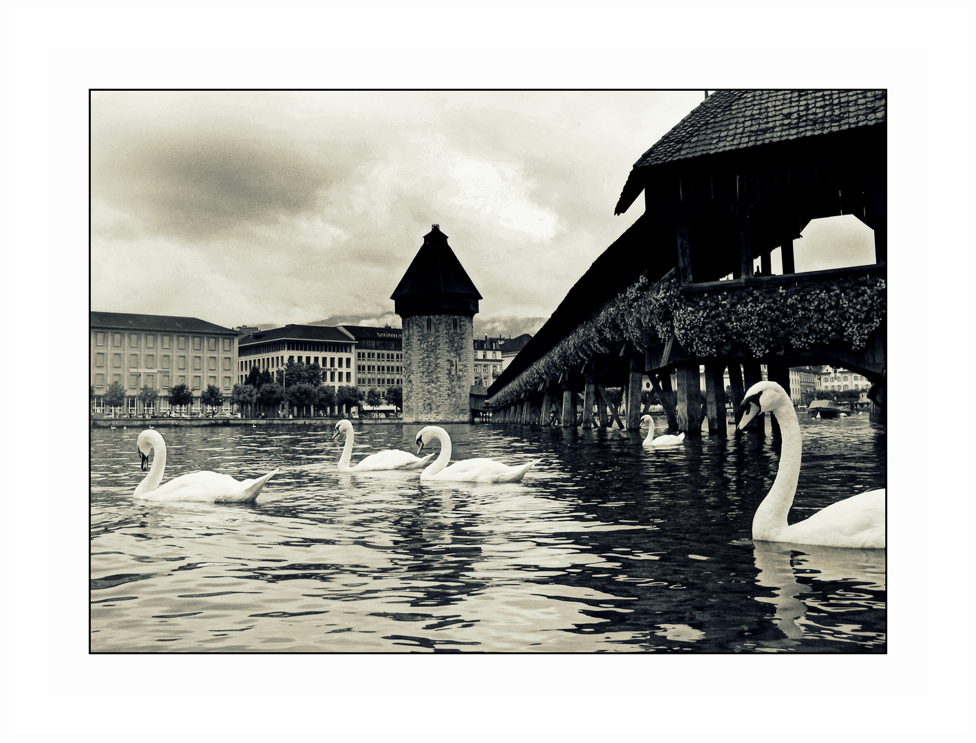 Lago di Lucerna