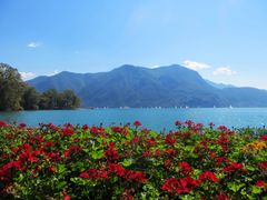 Lago di Lugano ...