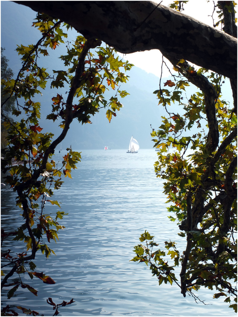 Lago di Lugano im Morgendunst