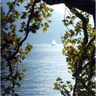 Lago di Lugano im Morgendunst