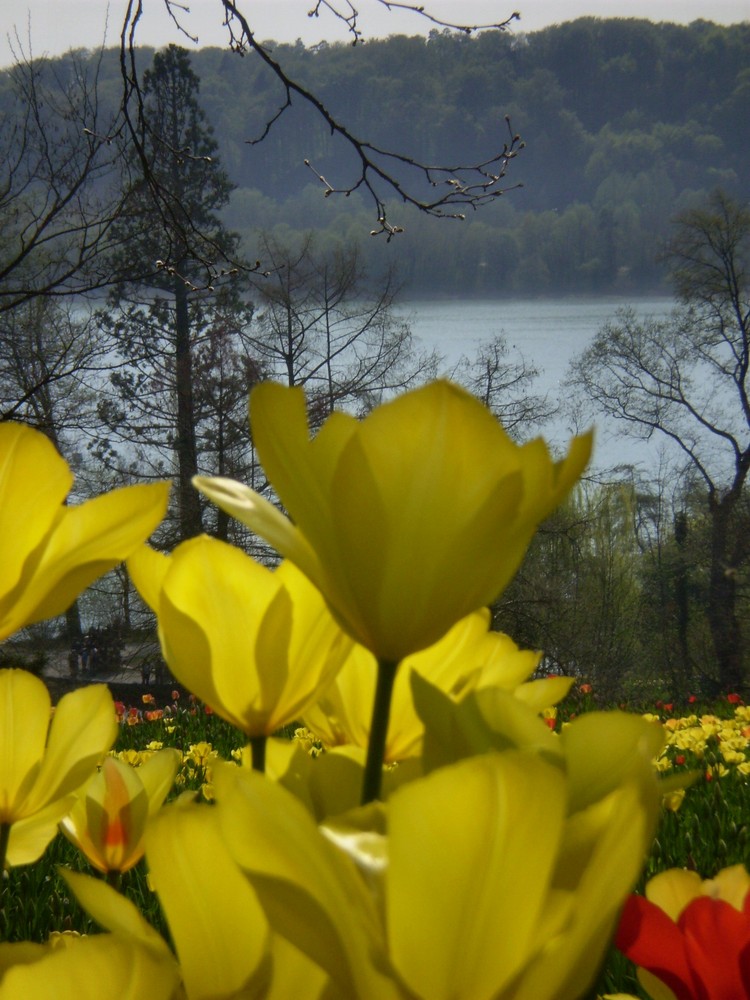 lago di Mainau