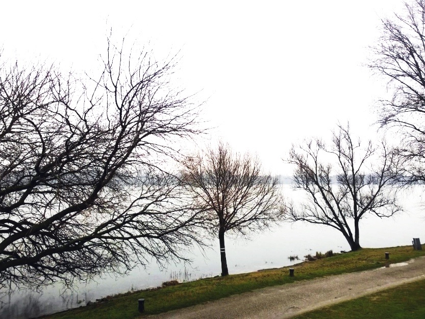 Lago di Mantova