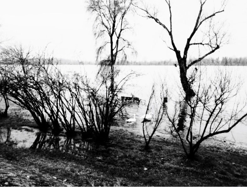 Lago di mantova in piena