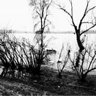 Lago di mantova in piena