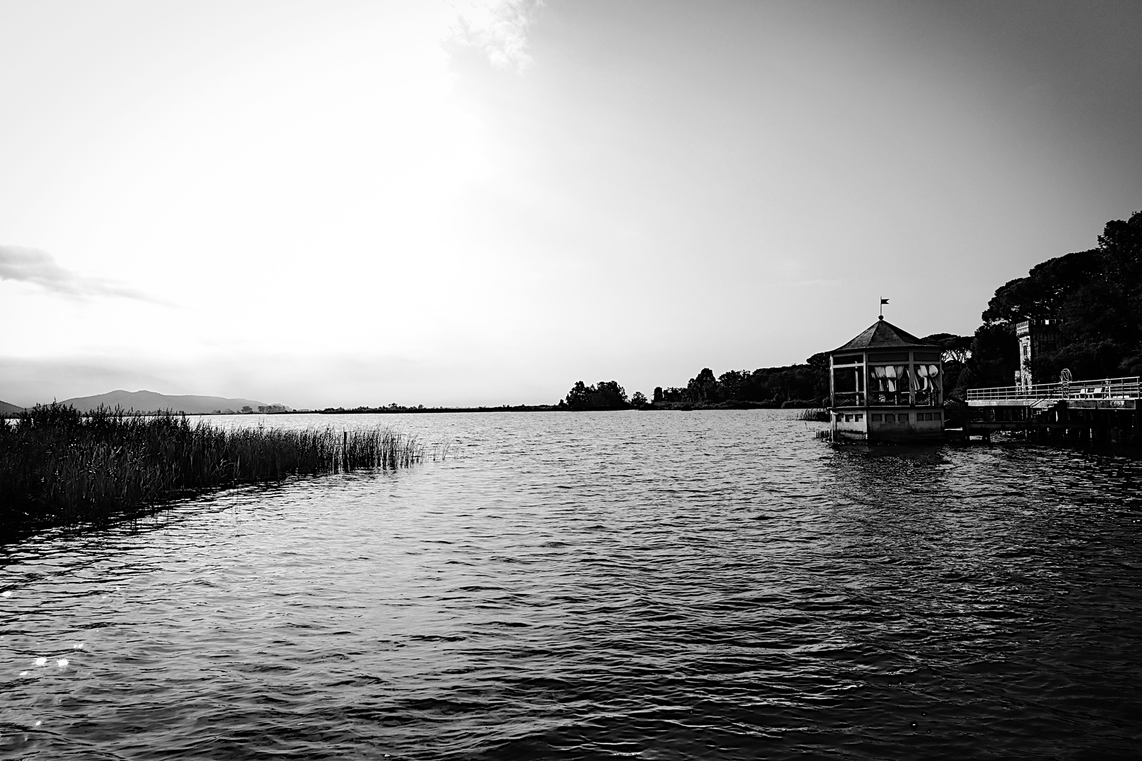 Lago di Massaciuccoli 3