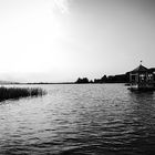 Lago di Massaciuccoli 3