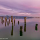 Lago di Massaciuccoli