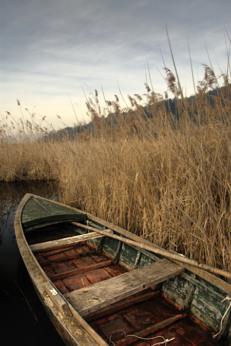 Lago di Massaciuccoli - barchetta