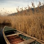 Lago di Massaciuccoli - barchetta