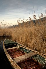 Lago di Massaciuccoli - barchetta