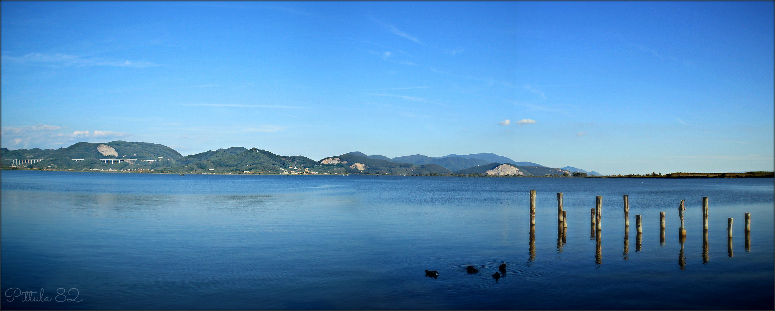 Lago di massaciuccoli