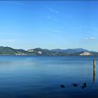 Lago di massaciuccoli