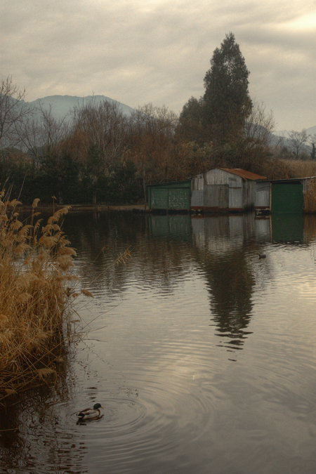 Lago di Massaciuccoli - le baracche