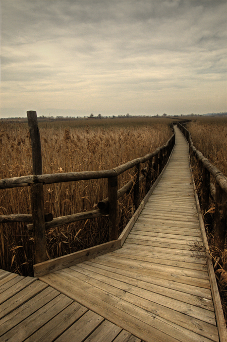 Lago di Massaciuccoli - le passerelle