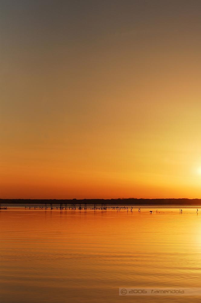 Lago di Massaciuccoli - Oasi Lipu #1