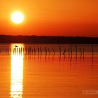 Lago di Massaciuccoli - Oasi Lipu #2