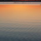 Lago di Massaciuccoli - Oasi Lipu #3