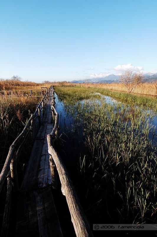 Lago di Massaciuccoli - Oasi Lipu #4