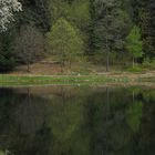 Lago di Meugliano