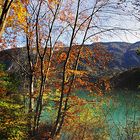 lago di molveno